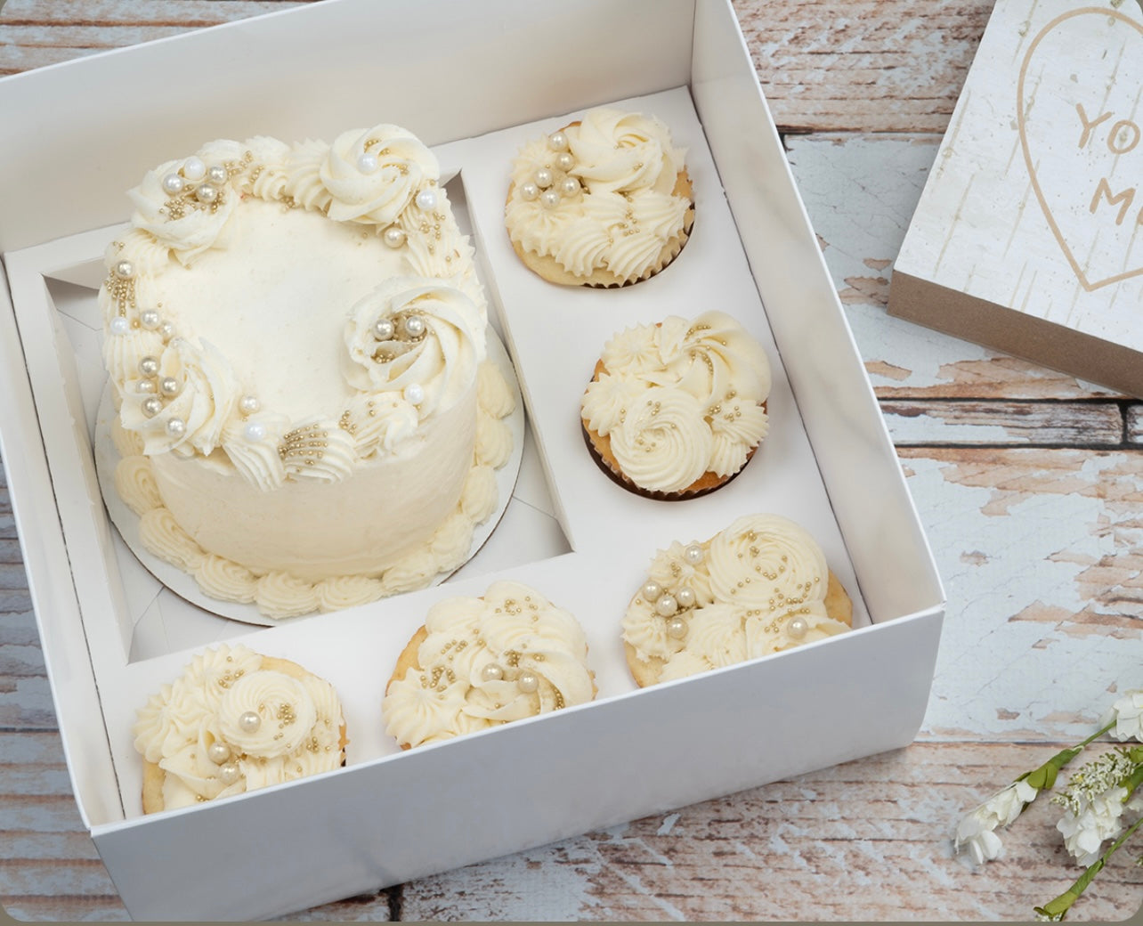 Bento Box with 5-Cupcake Insert and Clear Lid