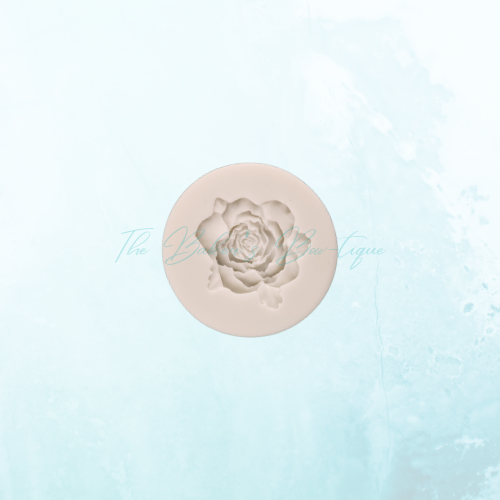 Large Rose