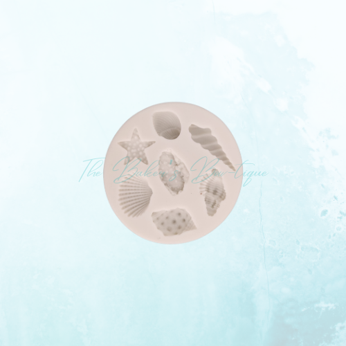Seashells #1