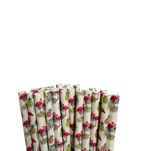 FLAMINGO and PINEAPPLE Paper Straws