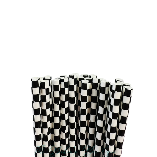 BLACK and WHITE CHECKERED Paper Straws